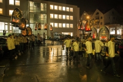 GV VBGZG 2014, 51